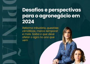 Desafios e perspectivas para o agronegócio em 2024
