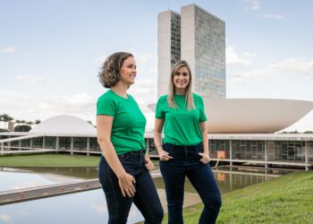 QUEM VÊ PALCO, NÃO VÊ BASTIDOR: PLANO SAFRA 2024/2025 