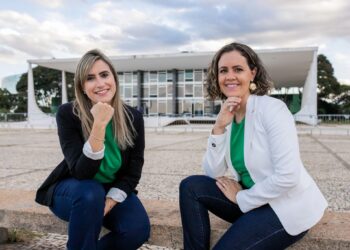 2025: Entre a Antecipação Eleitoral e as Vitórias Estratégicas do Agro