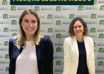 Menos tempo para agir, mais estratégia: como deve ser o ano político do agro