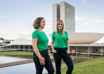 Agro em ano eleitoral: quem não se prepara, perde representatividade
